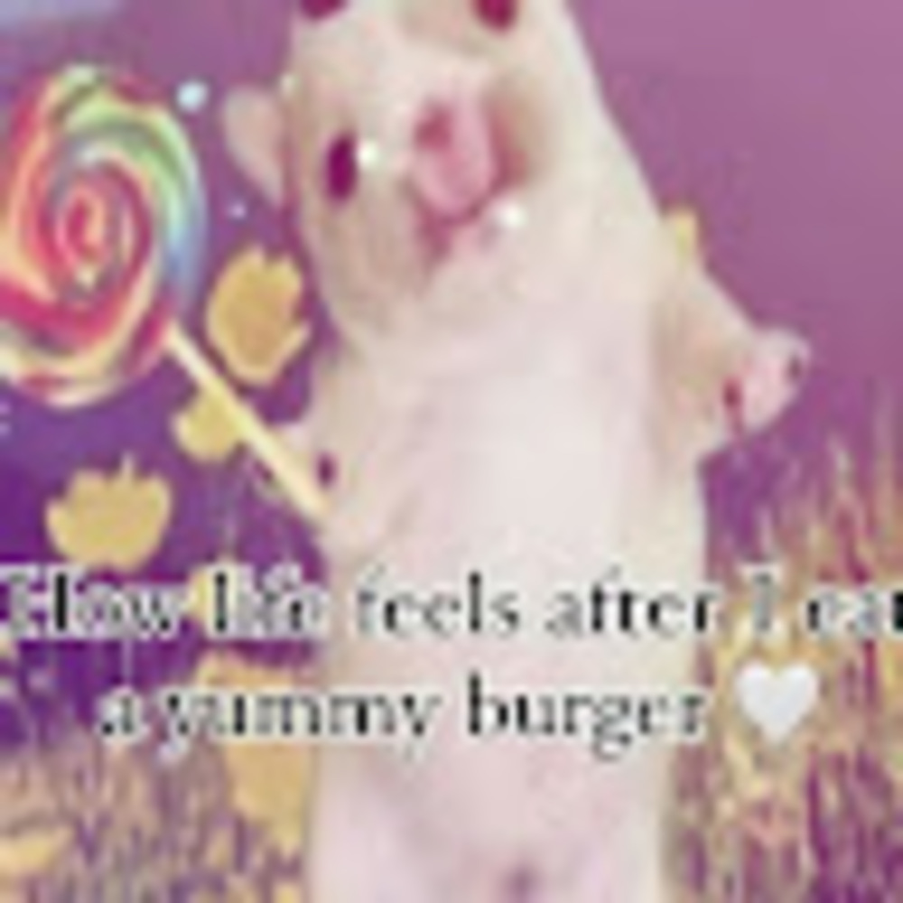 Meet your Posher, Genesis